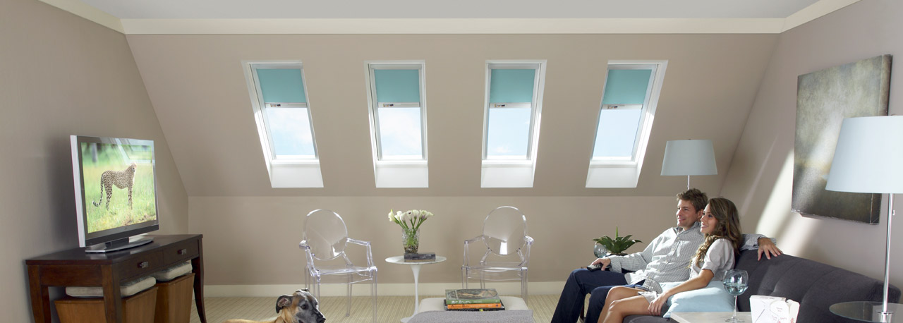 bonus room skylights